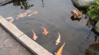 DSC01079.JPG